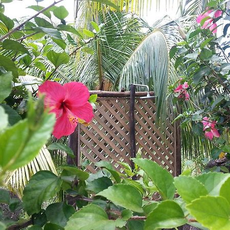 Zanboza Guesthouse Đảo Đảo La Digue Ngoại thất bức ảnh