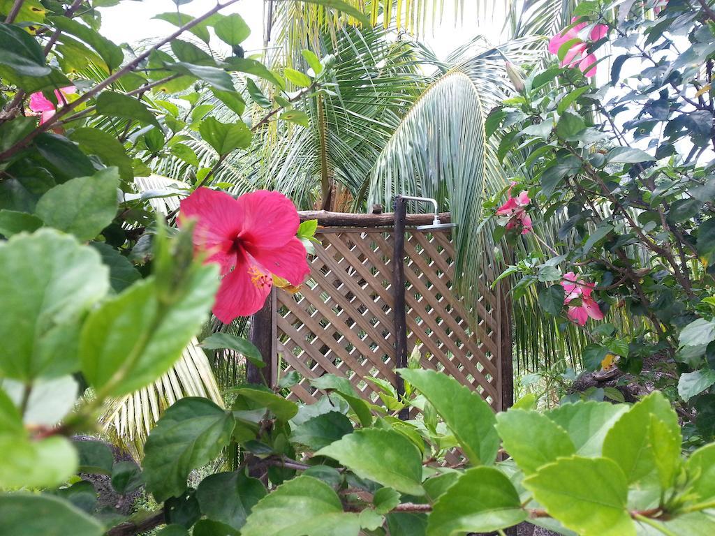 Zanboza Guesthouse Đảo Đảo La Digue Ngoại thất bức ảnh